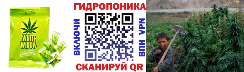 как найти   Баймак  Еда ТГК конопля 