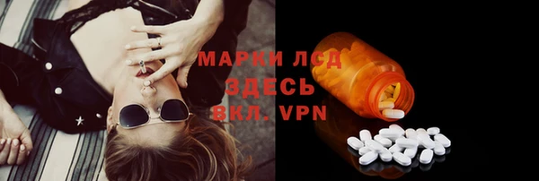 ГАЛЛЮЦИНОГЕННЫЕ ГРИБЫ Арсеньев