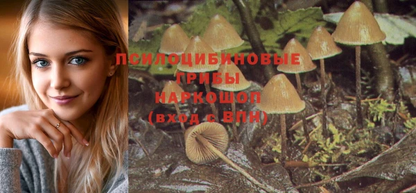 герыч Аркадак