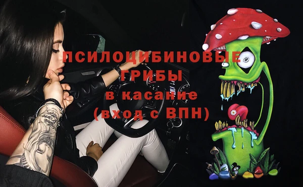 ГАЛЛЮЦИНОГЕННЫЕ ГРИБЫ Арсеньев